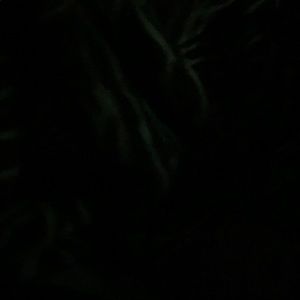 Meet your Posher, Rosa